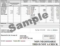 Pay Stub,Fake Pay Stub,Phoney Pay Stub,Fake Payroll Check,Proof