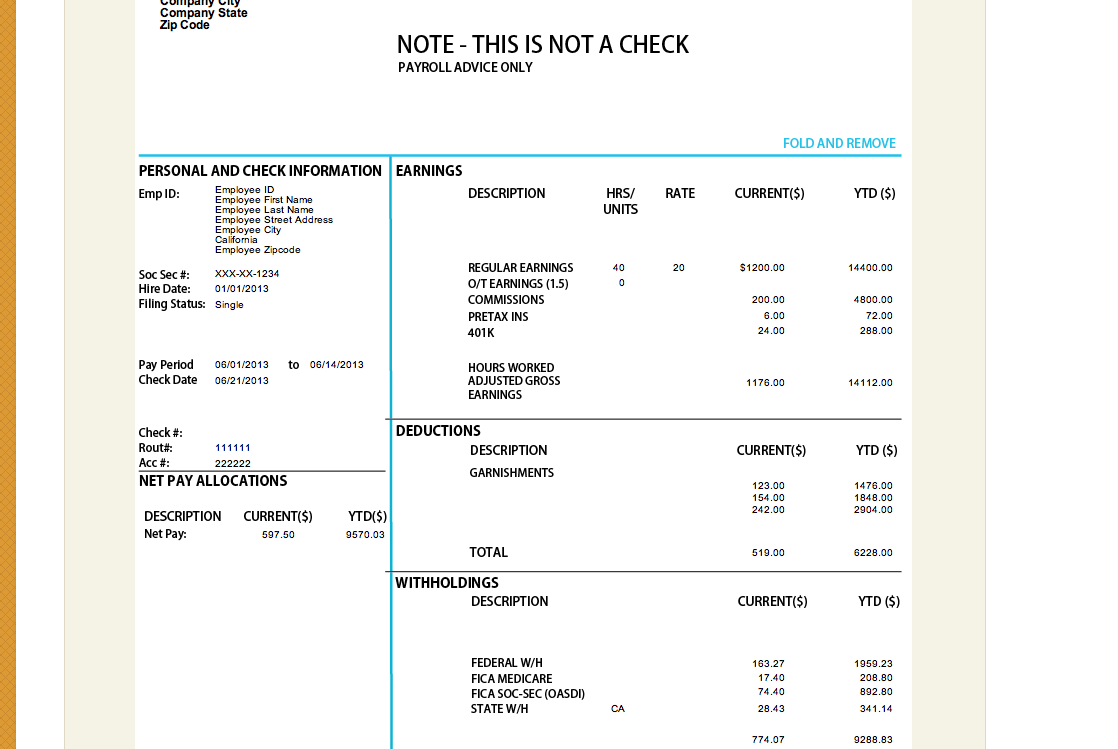 New Paystub Template